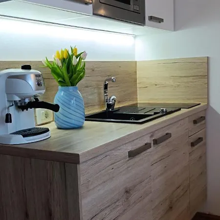 Apartmán Royal S Privatnim Parkingom Opatija