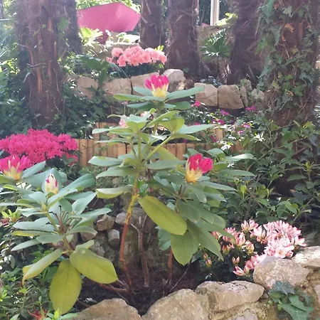 Royal S Privatnim Parkingom * Abbázia