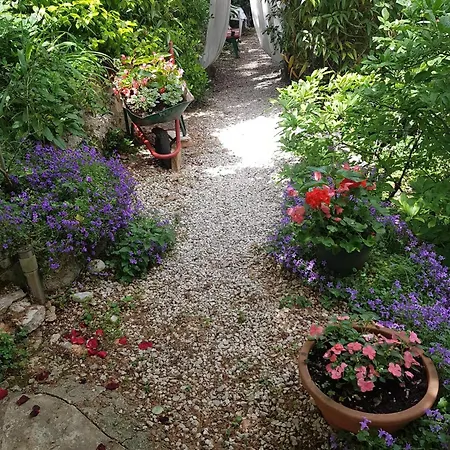 Royal S Privatnim Parkingom Apartman