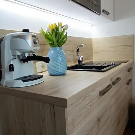 Royal S Privatnim Parkingom