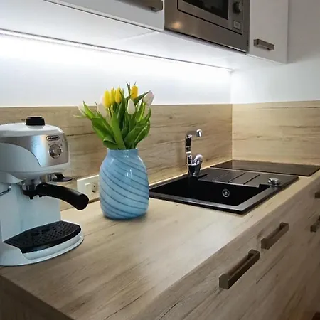 Royal S Privatnim Parkingom * Opatija